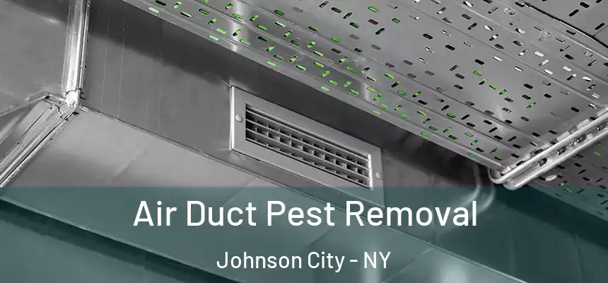  Air Duct Pest Removal Johnson City - NY