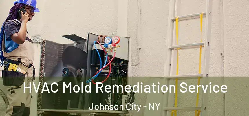 HVAC Mold Remediation Service Johnson City - NY