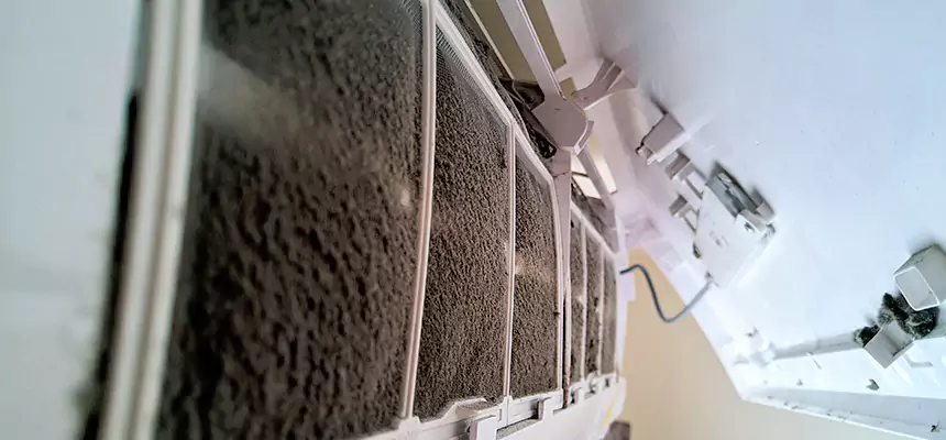 Preventive Air Duct Bacteria Removal in Johnson City