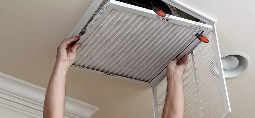 Preventive Cockroach-Proofing for Ducts in Johnson City