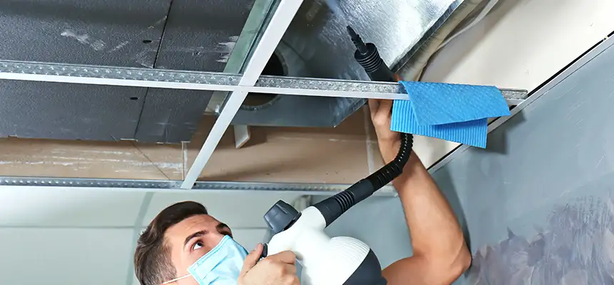 Our Air Duct Rodent Removal Services in Johnson City, NY