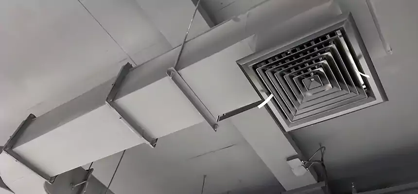 Restorative Allergy Relief Vent Cleaning – Coil, Blower & Housing Detail in Johnson City