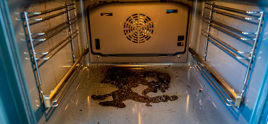 Our Dryer Vent Mold Cleaning Services in Johnson City, NY