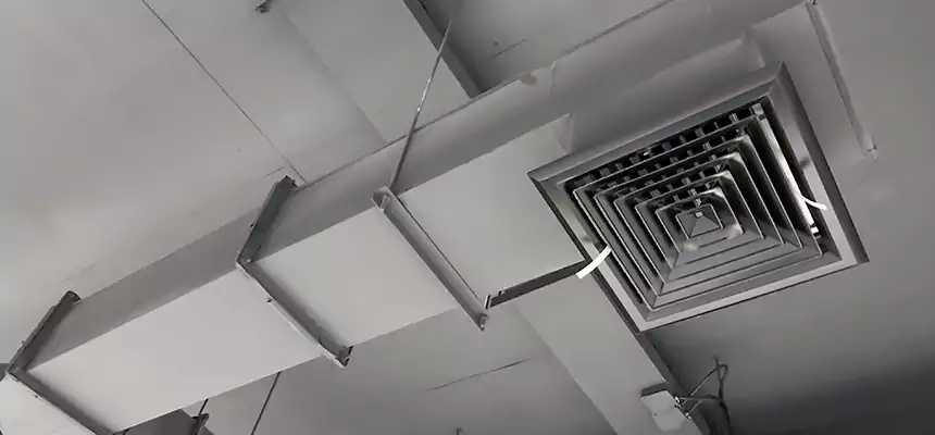 Our Rodent Droppings In Vents Services in Johnson City, NY