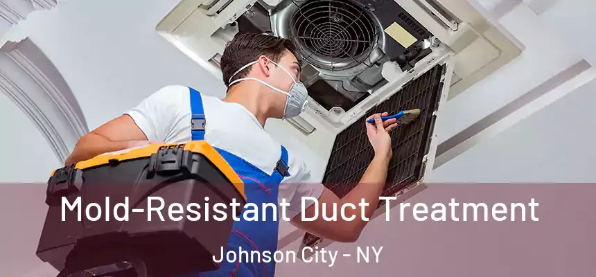  Mold-Resistant Duct Treatment Johnson City - NY