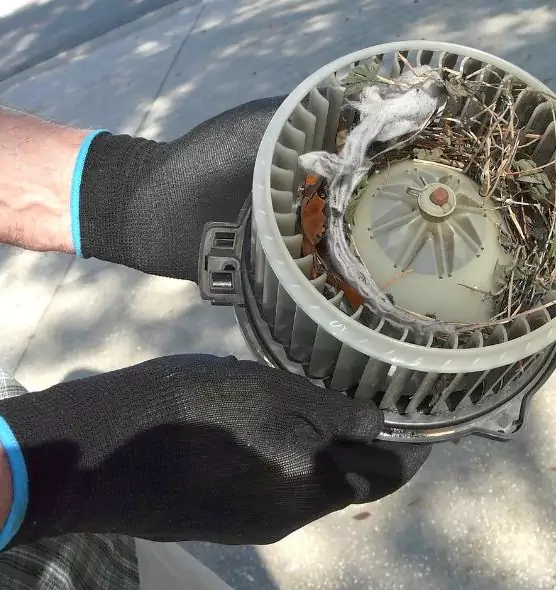 About Air Duct Mice Removal in Johnson City, NY