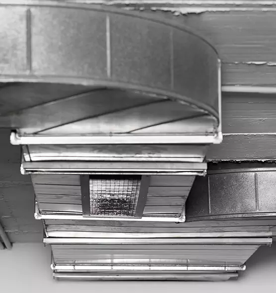 Professional Air Duct Pet Hair Removal in Johnson City, NY