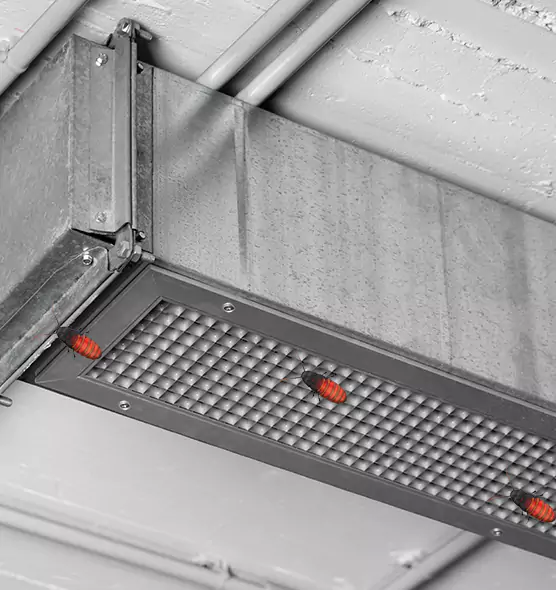 Affordable Insect Removal from Air Ducts in Johnson City, NY