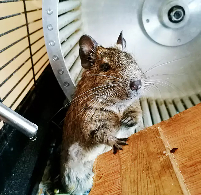 Why Homeowners & Businesses Trust Us Johnson City, NY?