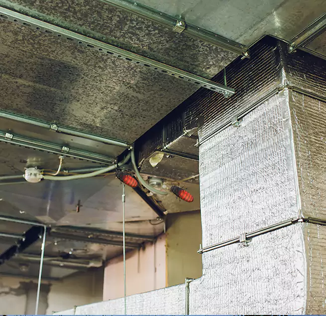 Why Homeowners & Businesses Trust Us Johnson City, NY?